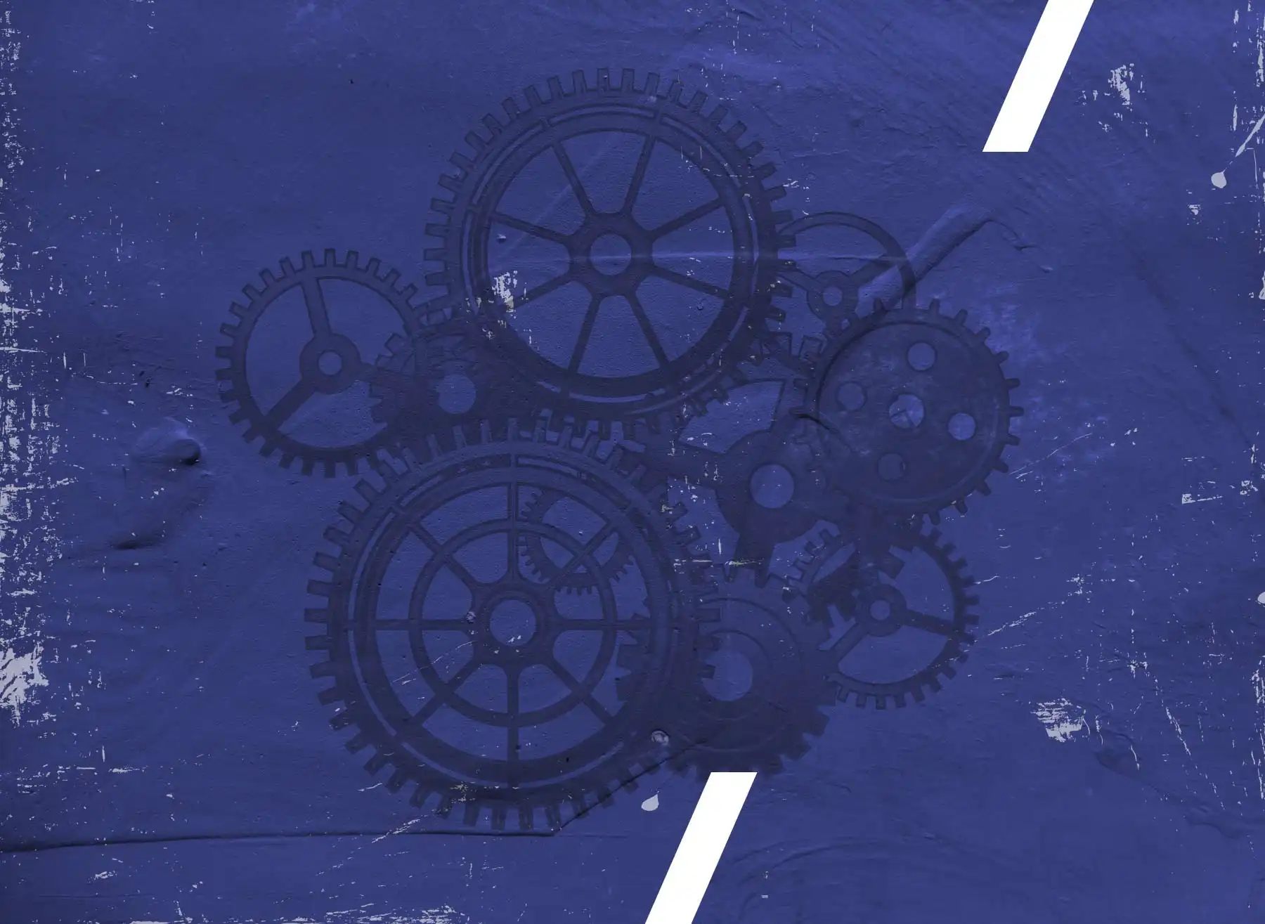 Leistungen von AD CONSULTING Dr. Andrea David - München